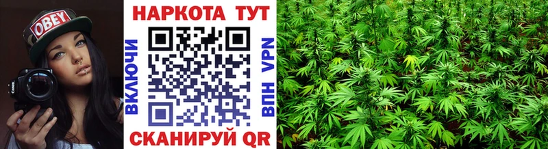 Купить наркотик Далматово Гашиш  МЕФ 