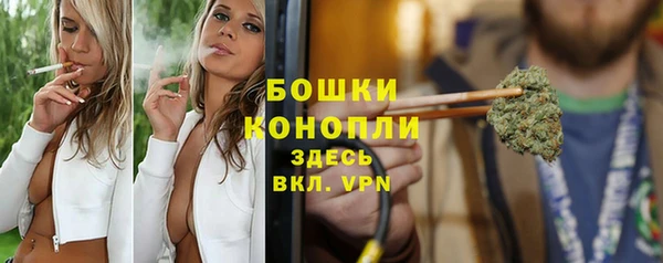 шишки Вязники