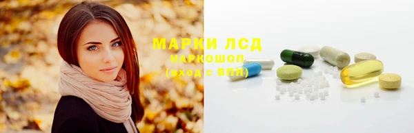 шишки Вязники