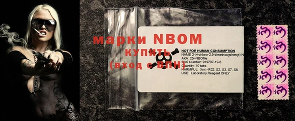 шишки Вязники