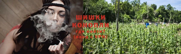 стафф Горно-Алтайск